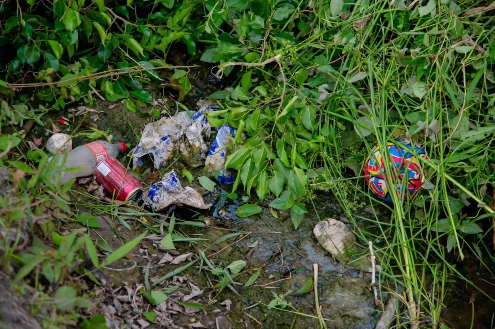 SE ATIENDE LIMPIEZA DE DRENES PLUVIALES – Foto 3