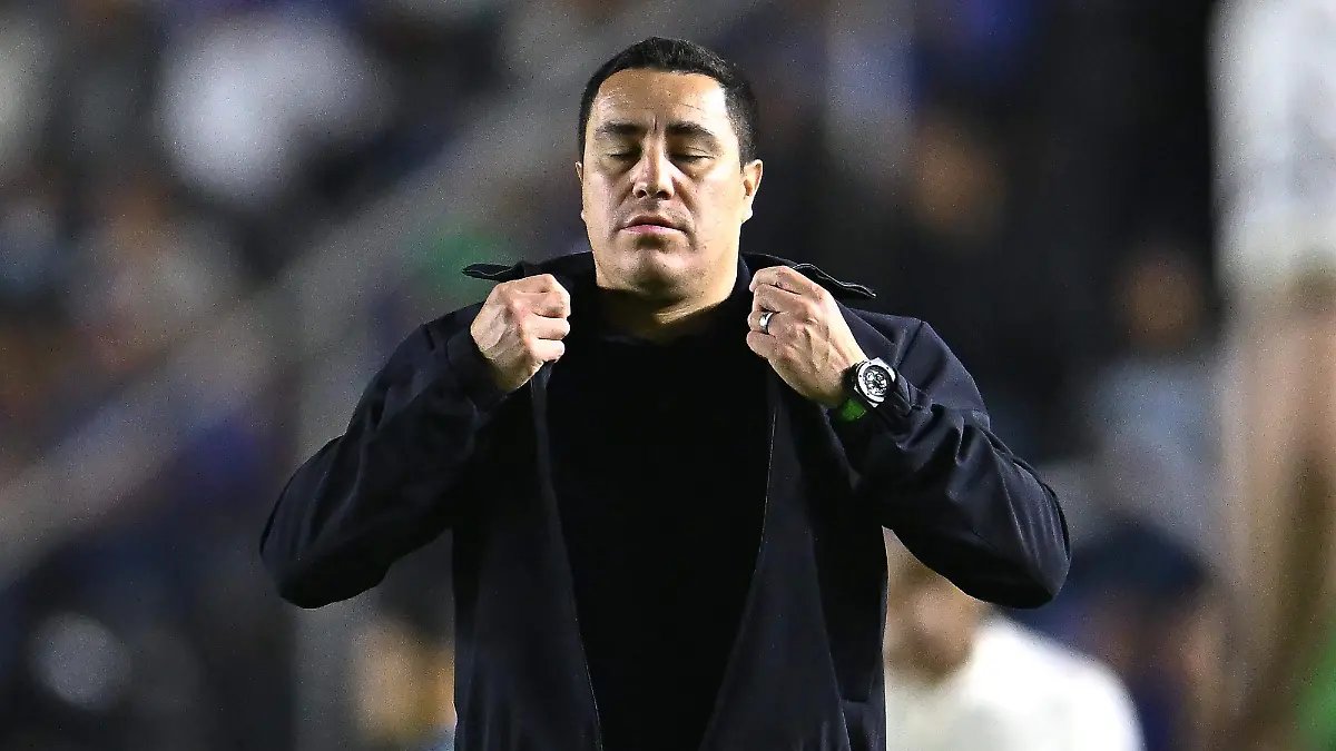 Pumas en Ascenso