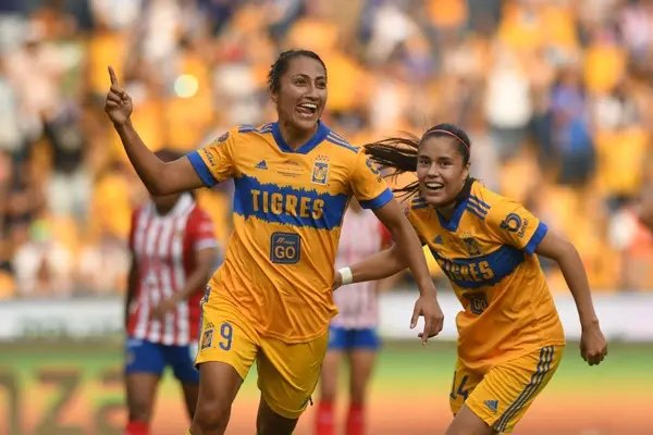 Liga Femenil Avanza