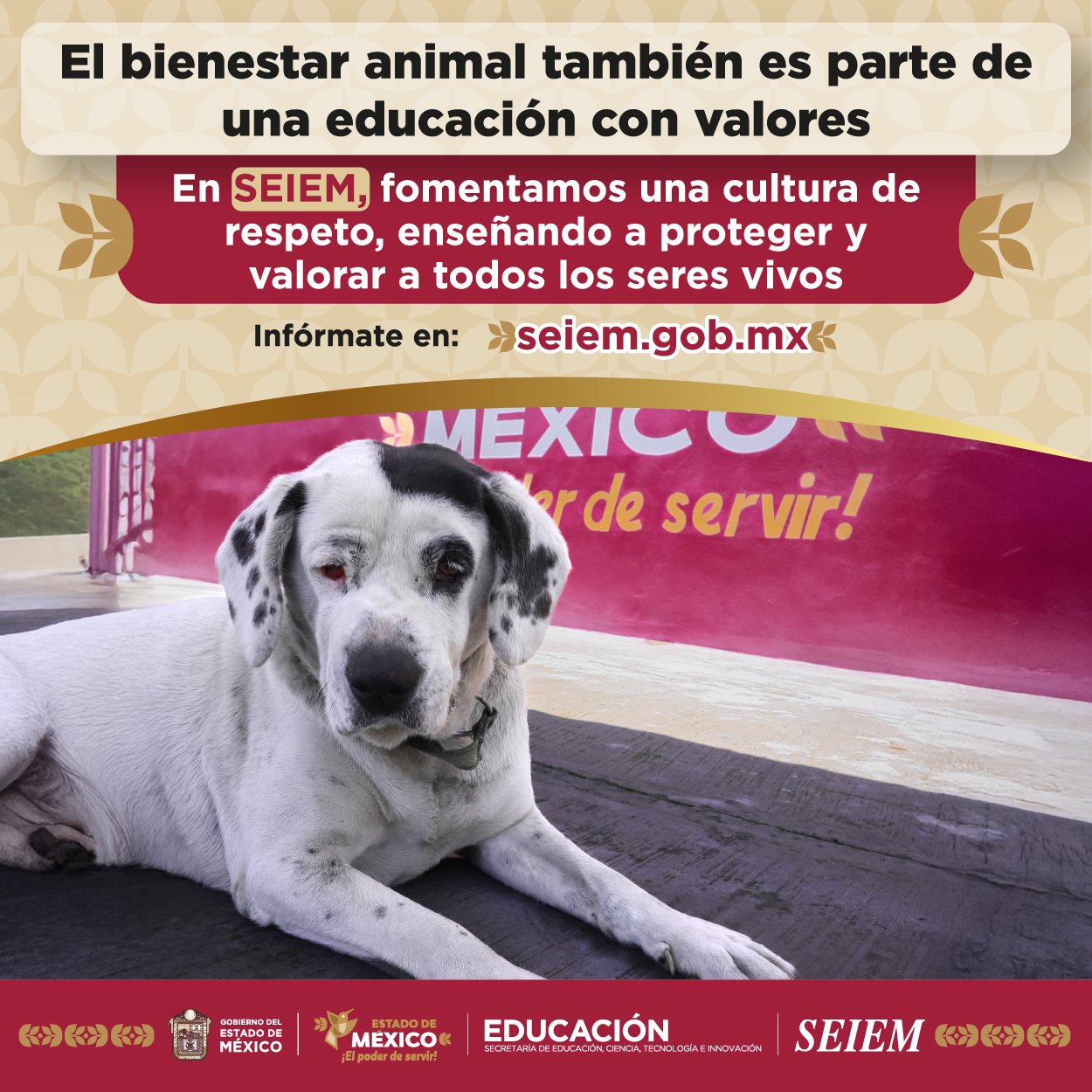 “Todas estas acciones forman parte de un proyecto con el que
