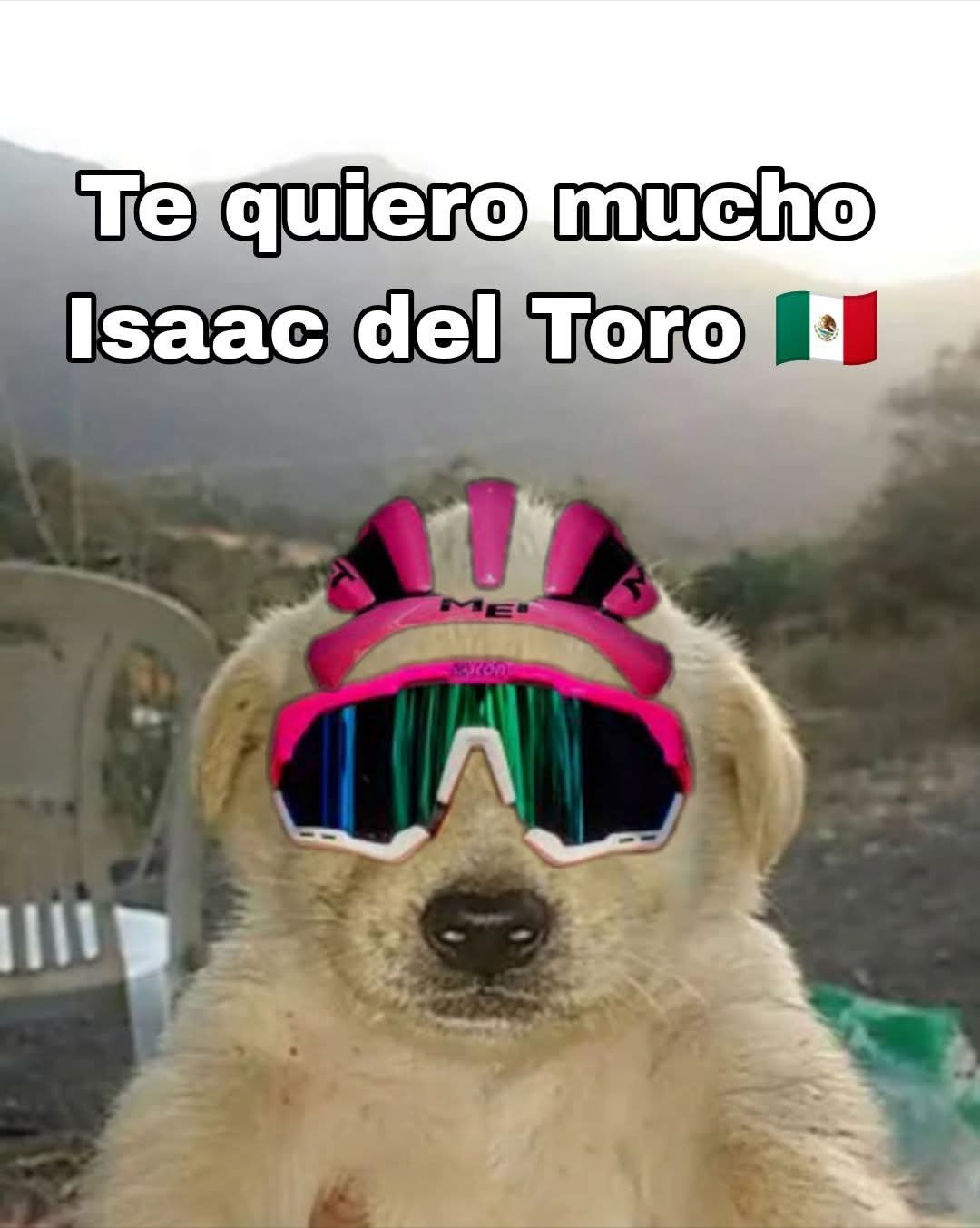 Del Toro al Ataque