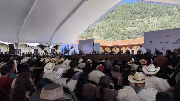Ganan pueblos indígenas de México batalla legal contra gigan