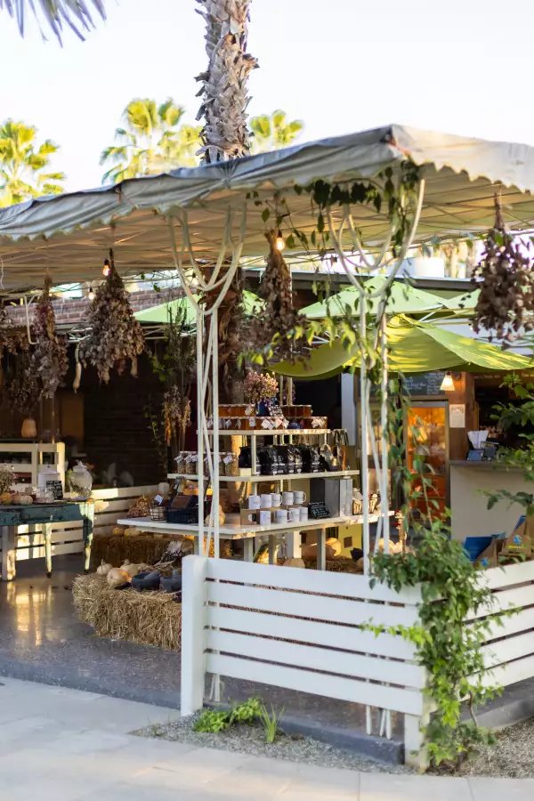 Descubriendo Flora Farms