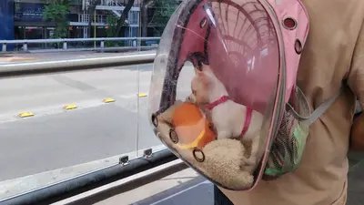 Tragedia en Cancún