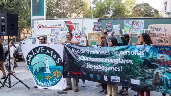 La SCJN atrae polémico caso ambiental de Mahahual