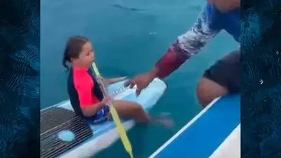 Lucha contra lavado de dinero