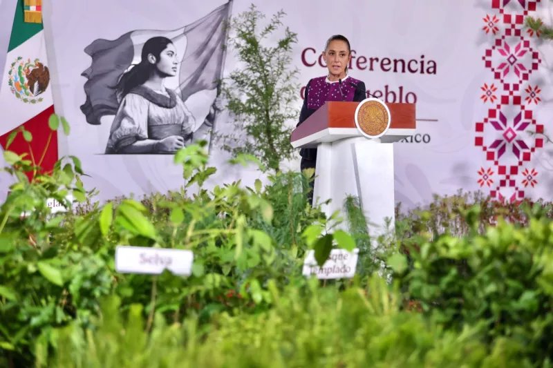 Sheinbaum lanza reforestación nacional y propone renombrar P