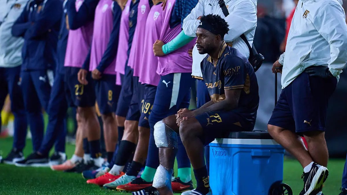 Tigres en Apuros