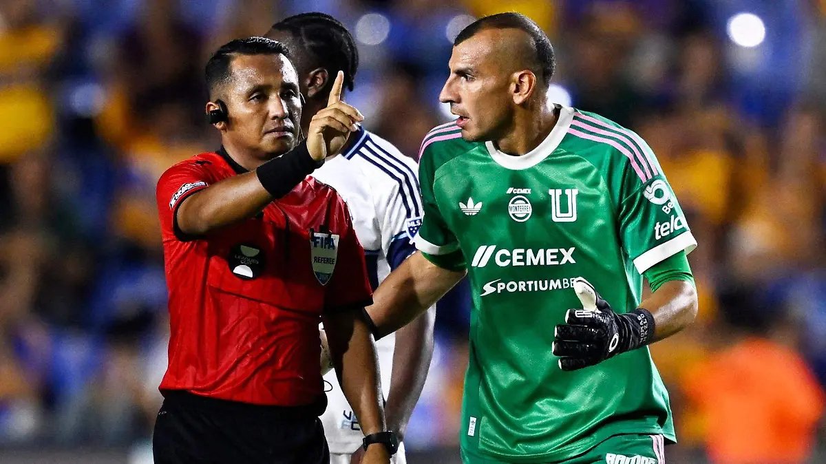 Tigres en Apuros