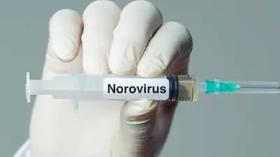 Detectan nuevo caso autóctono de virus del Nilo Occidental e