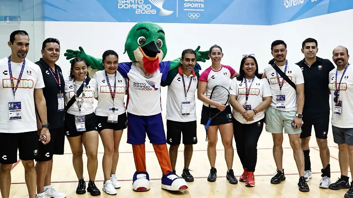 Voleibol Profesional