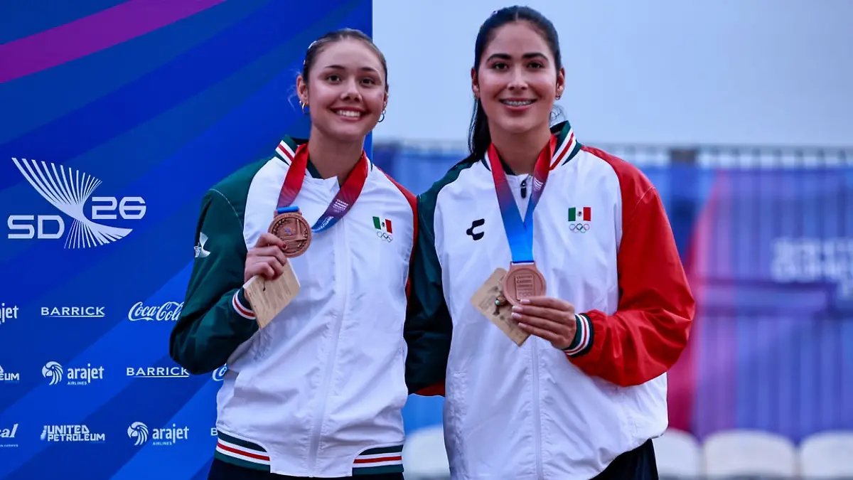 Voleibol Profesional