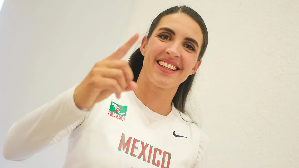 Voleibol Profesional