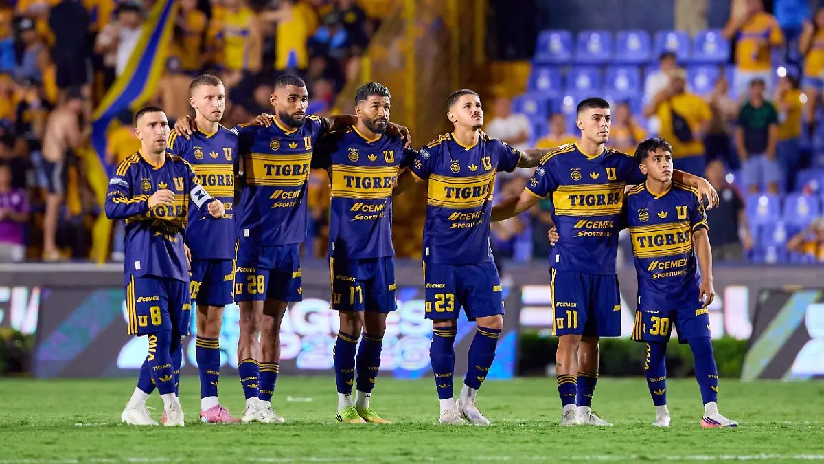 Tigres Busca DT