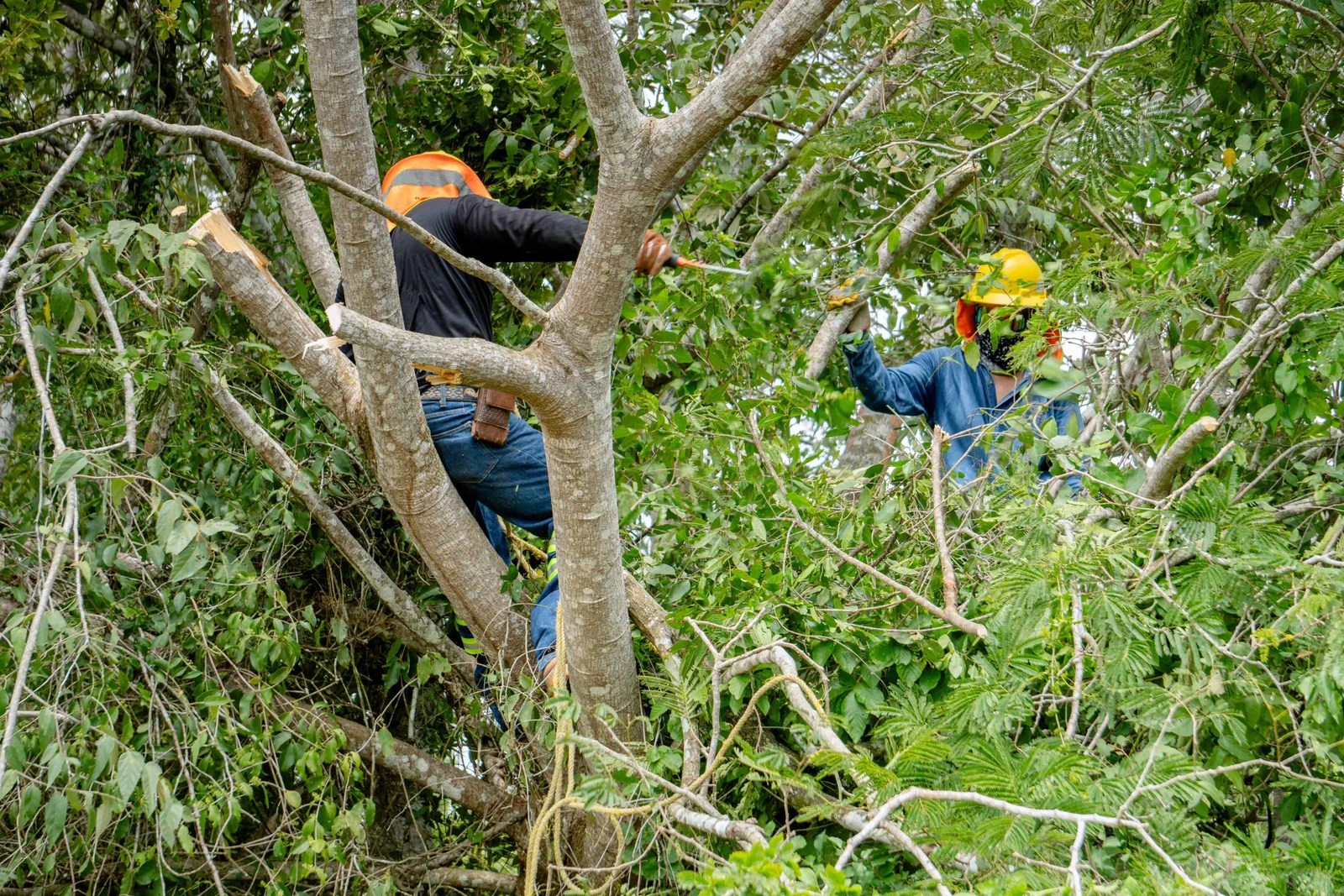 Gobierno de Tuxpan y CFE trabajan para brindar mayor seguridad y mejor servicio eléctrico