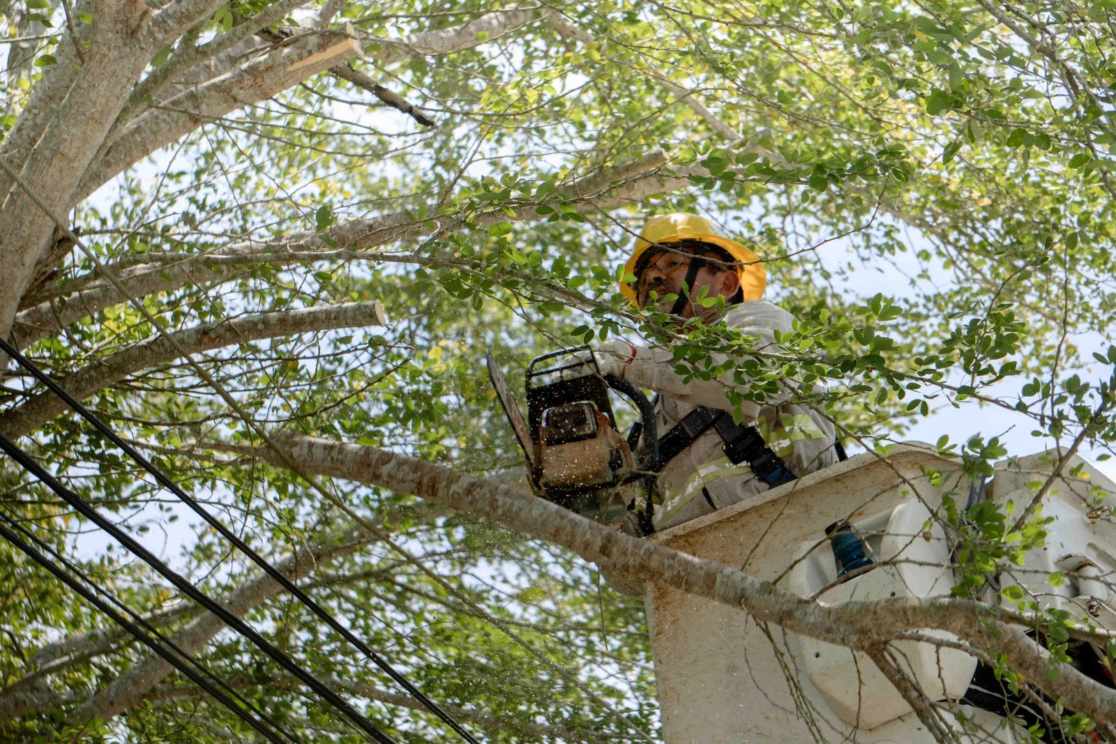 Gobierno de Tuxpan y CFE trabajan para brindar mayor seguridad y mejor servicio eléctrico
