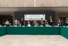 Larva de gusano barrenador sobre una herida en la piel