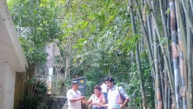 Turistas descienden a pie entre la vegetación del Cerro del Borrego, en Orizaba, tras la falla del teleférico