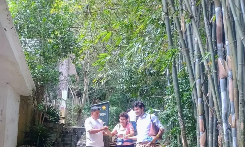 Turistas descienden a pie entre la vegetación del Cerro del Borrego, en Orizaba, tras la falla del teleférico