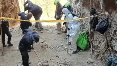 Personal forense con trajes de protección trabaja en una excavación acordonada