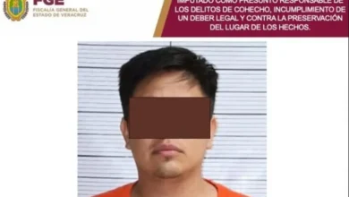 Ficha de la Fiscalía General del Estado de Veracruz sobre el perito imputado por ocultar indicios