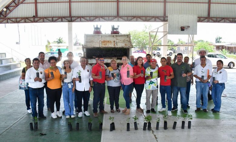 Entrega de plantas forestales nativas del programa de reforestación en Tamiahua