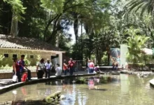 Visitantes del parque Los Tecajetes, en Xalapa, que cerrará dos días por mantenimiento de arbolado