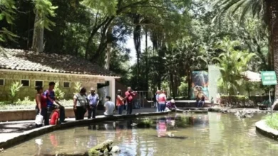 Visitantes del parque Los Tecajetes, en Xalapa, que cerrará dos días por mantenimiento de arbolado