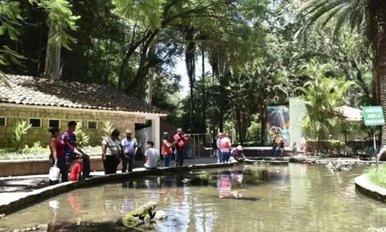 Visitantes del parque Los Tecajetes, en Xalapa, que cerrará dos días por mantenimiento de arbolado