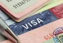 Pasaportes con sellos de visa estadounidense
