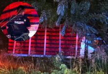 Camión cargado de pollo, con impactos de bala, abandonado en la carretera federal Tuxpan-Tampico, en Álamo Temapache