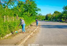 Personal de Parques y Jardines del ayuntamiento de Cerro Azul limpia la orilla de la calle Heriberto Jara Corona