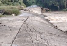 Puente colapsado sobre un río crecido en la localidad de Amatlán, Naranjos