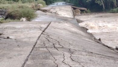 Puente colapsado sobre un río crecido en la localidad de Amatlán, Naranjos