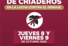 Cartel oficial de la Jornada de Eliminación de Criaderos contra el dengue en la colonia Palma Sola, Poza Rica