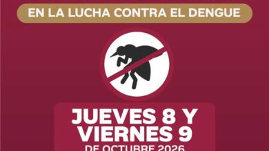 Cartel oficial de la Jornada de Eliminación de Criaderos contra el dengue en la colonia Palma Sola, Poza Rica