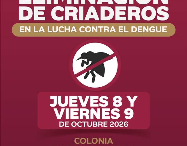 Cartel oficial de la Jornada de Eliminación de Criaderos contra el dengue en la colonia Palma Sola, Poza Rica