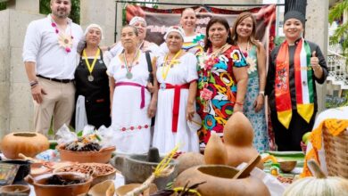 Muestra gastronómica del XXIX Festival de la Huasteca Veracruz 2026 en el parque Reforma, Tuxpan