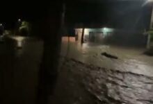 Foto: Diario Veracruz en Directo