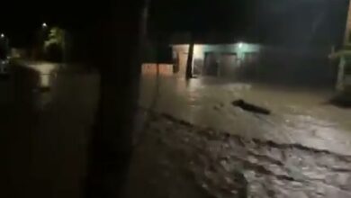 Foto: Diario Veracruz en Directo