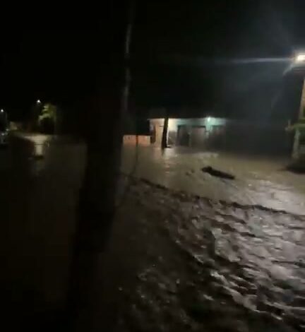 Foto: Diario Veracruz en Directo