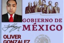 Credencial apócrifa de Oliver González Aguilar, señalado por la Dirección de Prevención del Delito como falso servidor público en Papantla