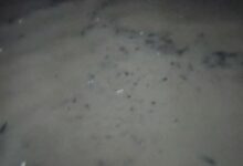 Agua del río cubre una calle de Paso del Correo, Papantla, la noche del 16 de octubre de 2026