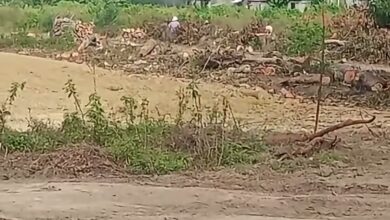 Columna de humo negro por el incendio de una casa en la colonia Arboledas, Poza Rica, junto a bodegas