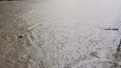 Calle inundada en la colonia Emiliano Zapata, Poza Rica, durante las lluvias del 3 de octubre de 2026