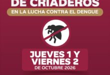 Cartel de la Jornada de Eliminación de Criaderos contra el dengue en la colonia Miguel Hidalgo de Poza Rica, jueves 1 y viernes 2 de octubre de 2026, de 9:00 de la mañana a 1:00 de la tarde.