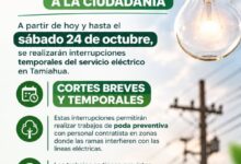 Aviso del Ayuntamiento de Tamiahua: cortes de luz por poda preventiva de la CFE hasta el sábado 24 de octubre