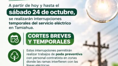 Aviso del Ayuntamiento de Tamiahua: cortes de luz por poda preventiva de la CFE hasta el sábado 24 de octubre