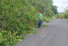Trabajador retira vegetación caída en el tramo Buena Vista–Monte Grande, Tantima, 9 de octubre de 2026