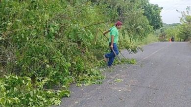 Trabajador retira vegetación caída en el tramo Buena Vista–Monte Grande, Tantima, 9 de octubre de 2026